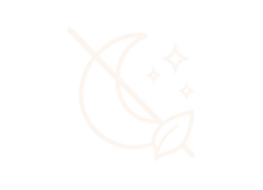 Fast shipping icon